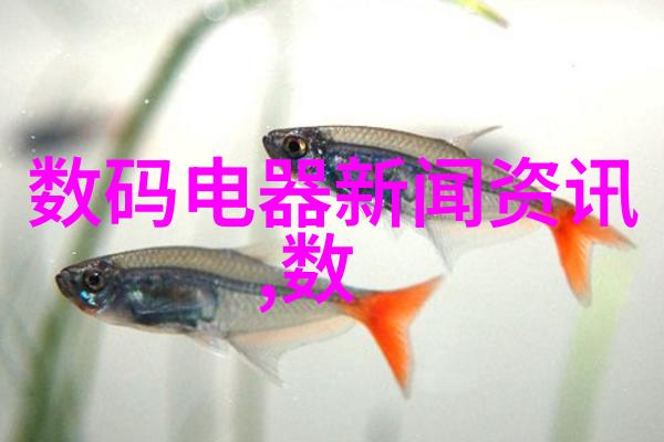 广西国际商务职业技术学院培养全球视野的商业精英