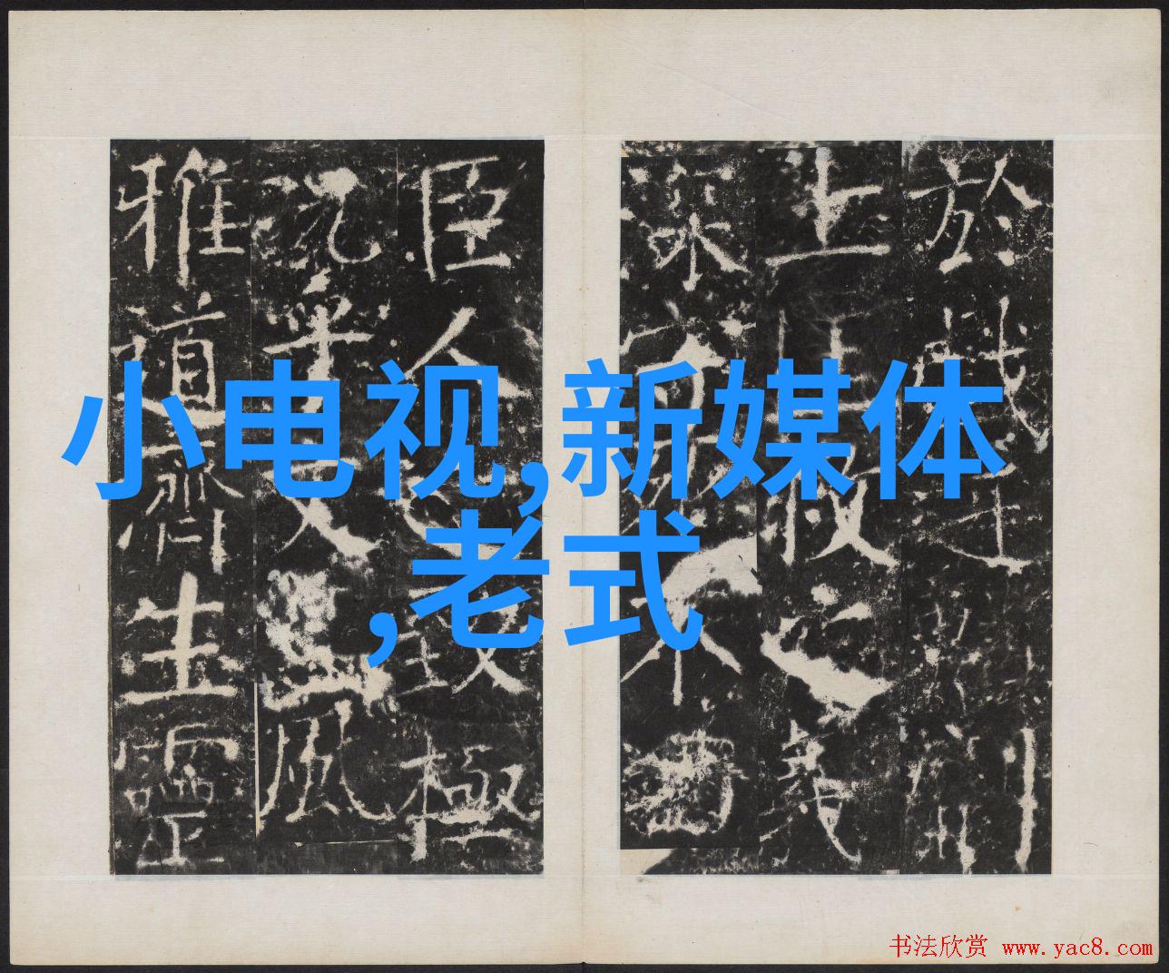 科学家揭秘黑箱实验室里究竟有哪些设备能检查出不同类型的污染物