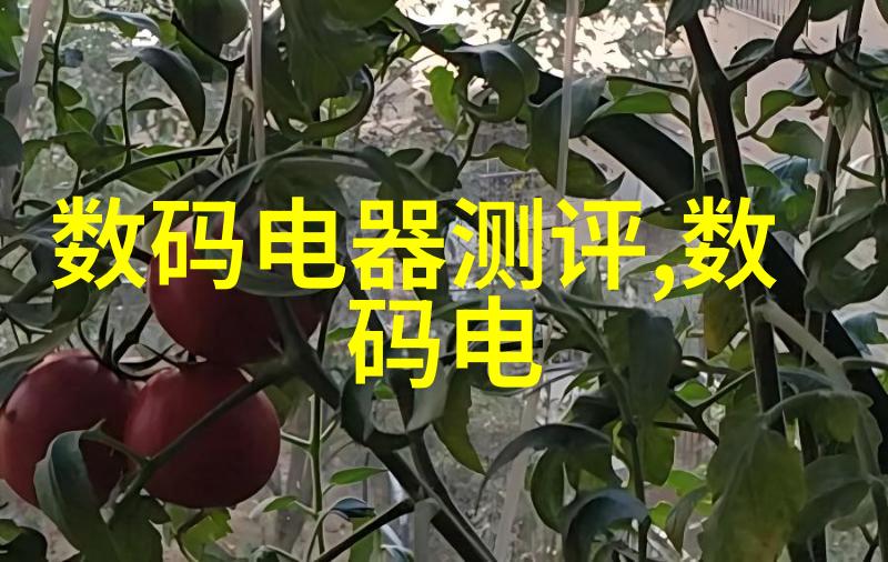 甲醇钠的化学世界从制备到应用的全方位探究