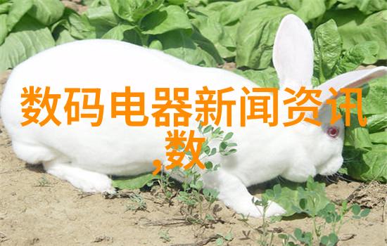 深夜的密室谜题揭秘禁忌之物