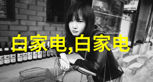 清新之风油雾净化器的科学魅力与家居应用艺术