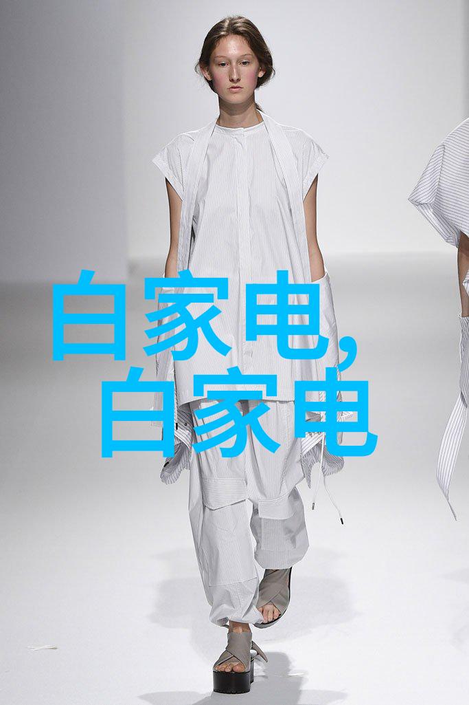 二手车配件交易平台的兴起与挑战
