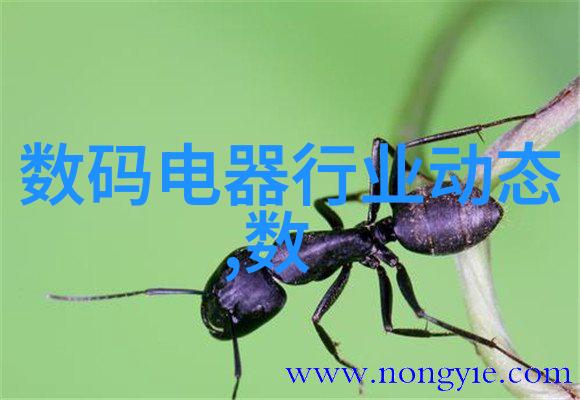 如饥似渴LA.VORACE追逐欲望的无尽纵情