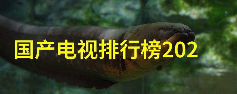 激活潜能促进剂在现代生活中的应用与意义