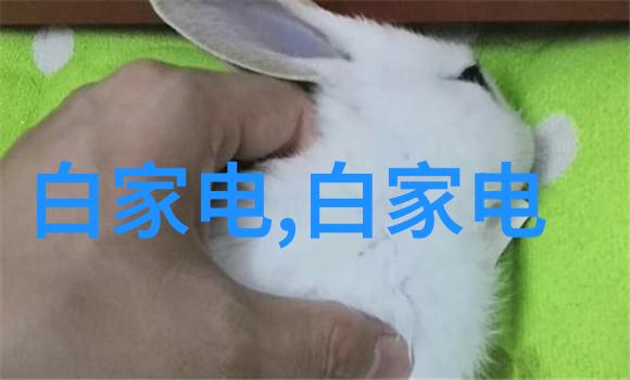 清洁与安全的伙伴卫生泵的重要性及其应用