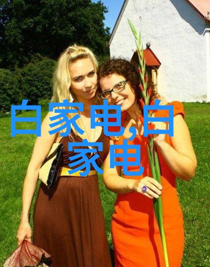 丝网波纹填料装填技巧提升复杂空间内物品堆叠效率的秘诀