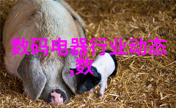 橡胶软管的魅力探索其在日常生活中的应用与美学价值