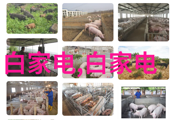 佛山最大的不锈钢管生产厂家提供梯形镁合金牺牲阳极Mg-11Kg 22kg