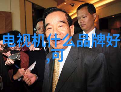 中国摄影艺术的杰出代表们十大名家之光