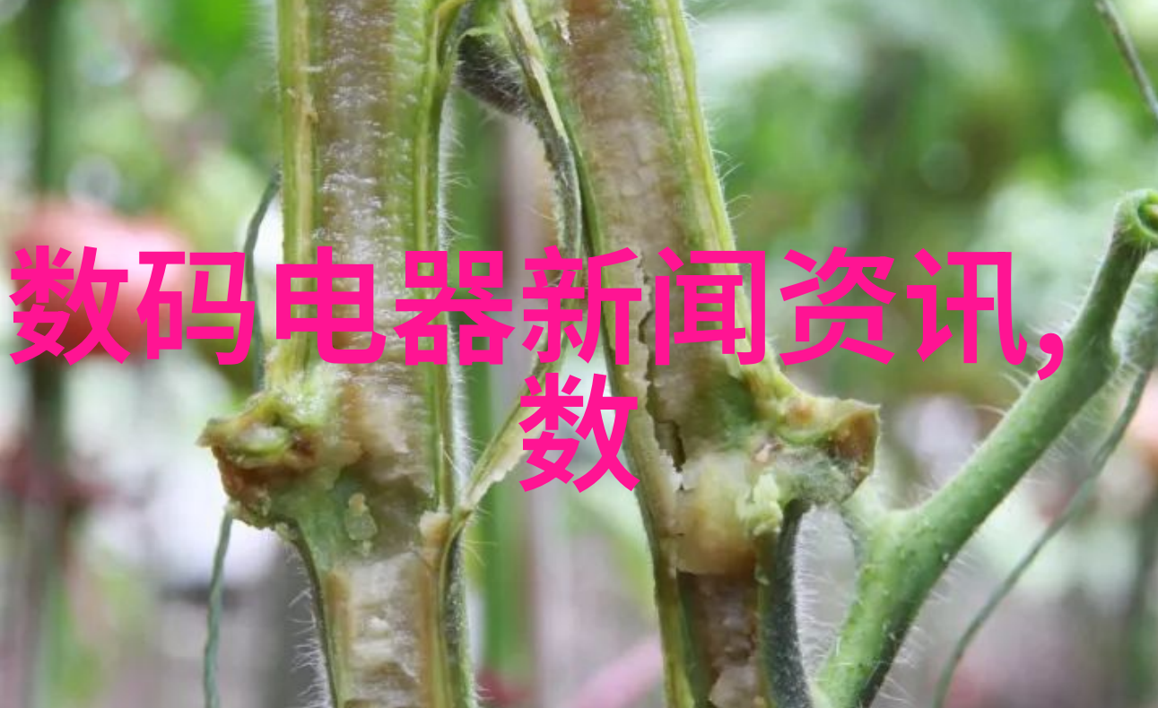 淘宝包装美学拍摄实物宣传片的必备设备与技巧揭秘