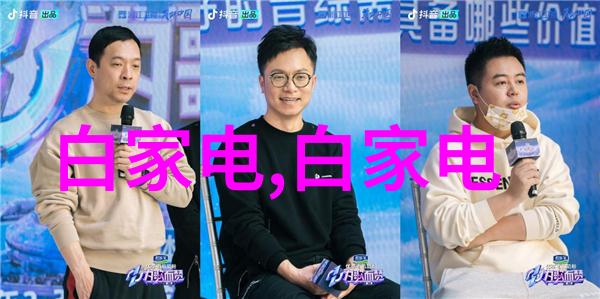 乱堆填料与规整填料的区别探索其特点与应用领域