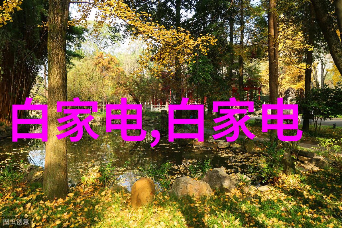 美丽的他小说TXT我和他的故事从书页间绽放的爱情