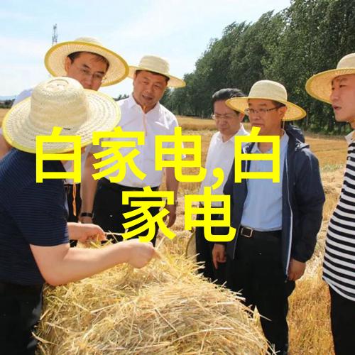 药品外包装机械技术与应用研究