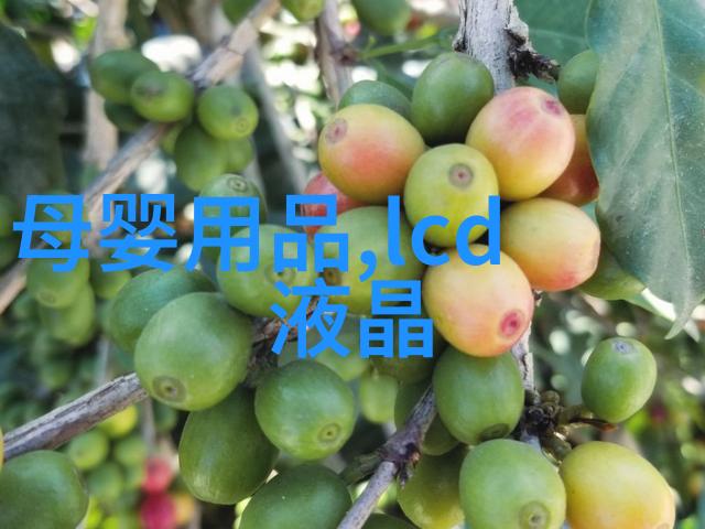从污水变身清流揭秘那些让你笑中有泪的废水处理设备价格