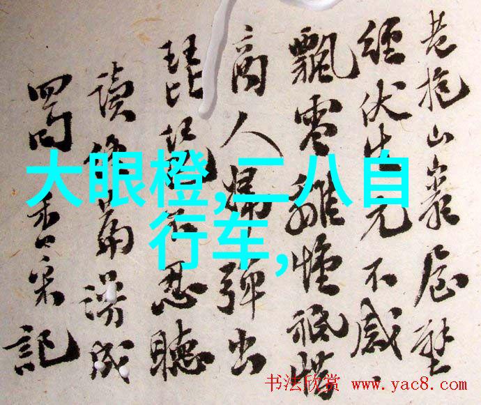 迈开腿让我看看你的那里美丽的腿部展示