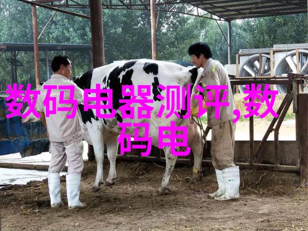 陕西财经职业技术学院青春筑梦的学府绿荫路