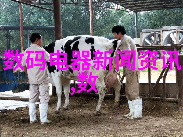 解锁心灵密码揭秘你的隐藏兴趣之谜