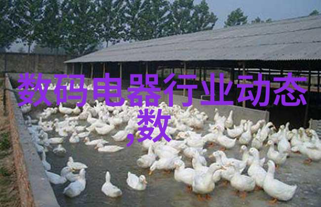 智慧守护岁月之光的自动报警手环