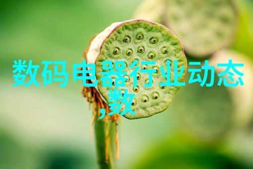 带式干燥技术在农业上的创新应用案例