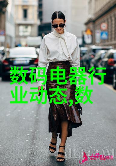 家庭工厂化创新小规模加工业在居住区的可行性与挑战研究