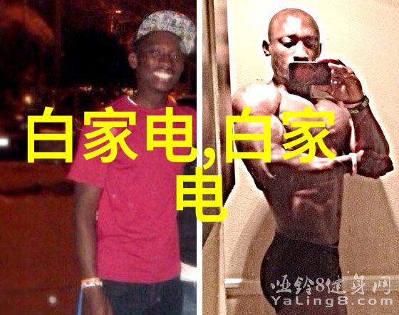 从零到英雄如何有效收集和分析报告样本