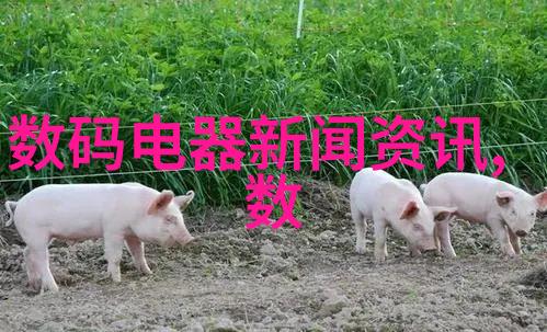 水利工程项目选题研究探索现代水资源管理的创新路径与实践应用