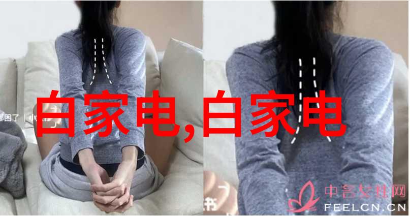 养殖场专用高压喷雾消毒机-清洁与防疫养殖场的高压喷雾消毒机革命