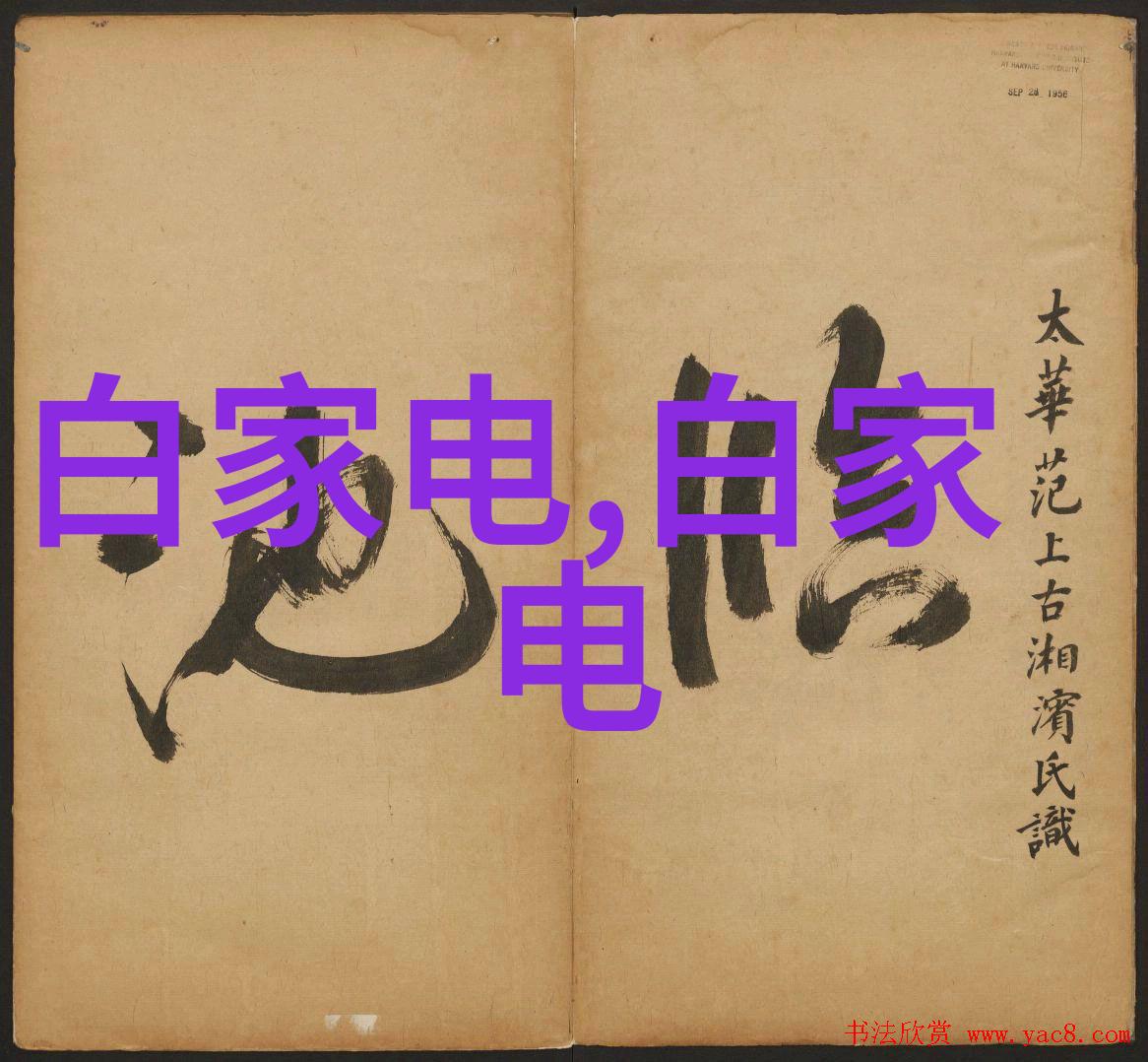 在制作自制清洁剂时需要注意哪些因素避免对环境造成不良影响