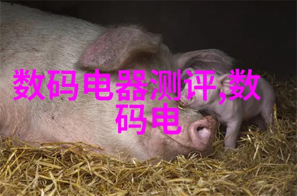 不锈钢输送机铁流中的灵魂伴侣