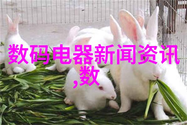 心战揭秘内心的斗争与成长