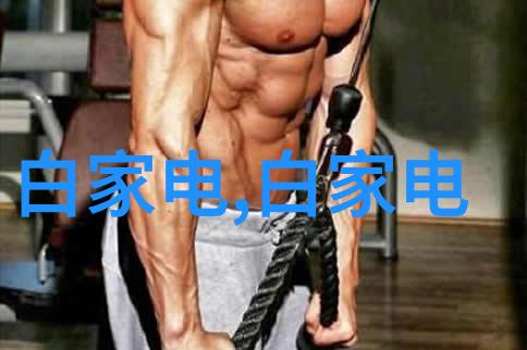 传动带在现代机械系统中的应用与发展趋势