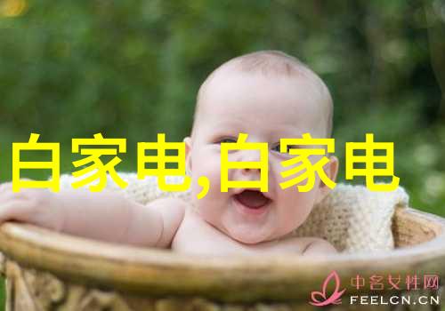 不锈钢丝网填料网铁丝与梦想的缠绕故事