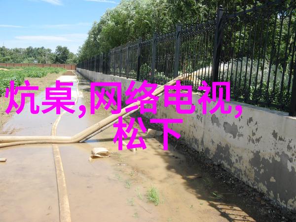刃锋上的文字探索刀尖txt的文学魅力