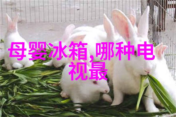 冰箱的沉默冷藏室结冰的隐秘告警