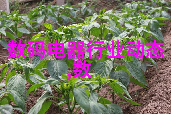冬日暖阳火焰中的守护者
