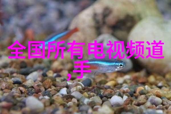 广东水利电力职业技术学院深耕水电科技教育
