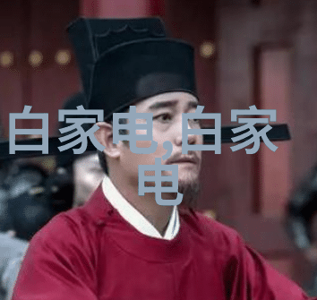 煤炭分选机的运作原理与应用实践