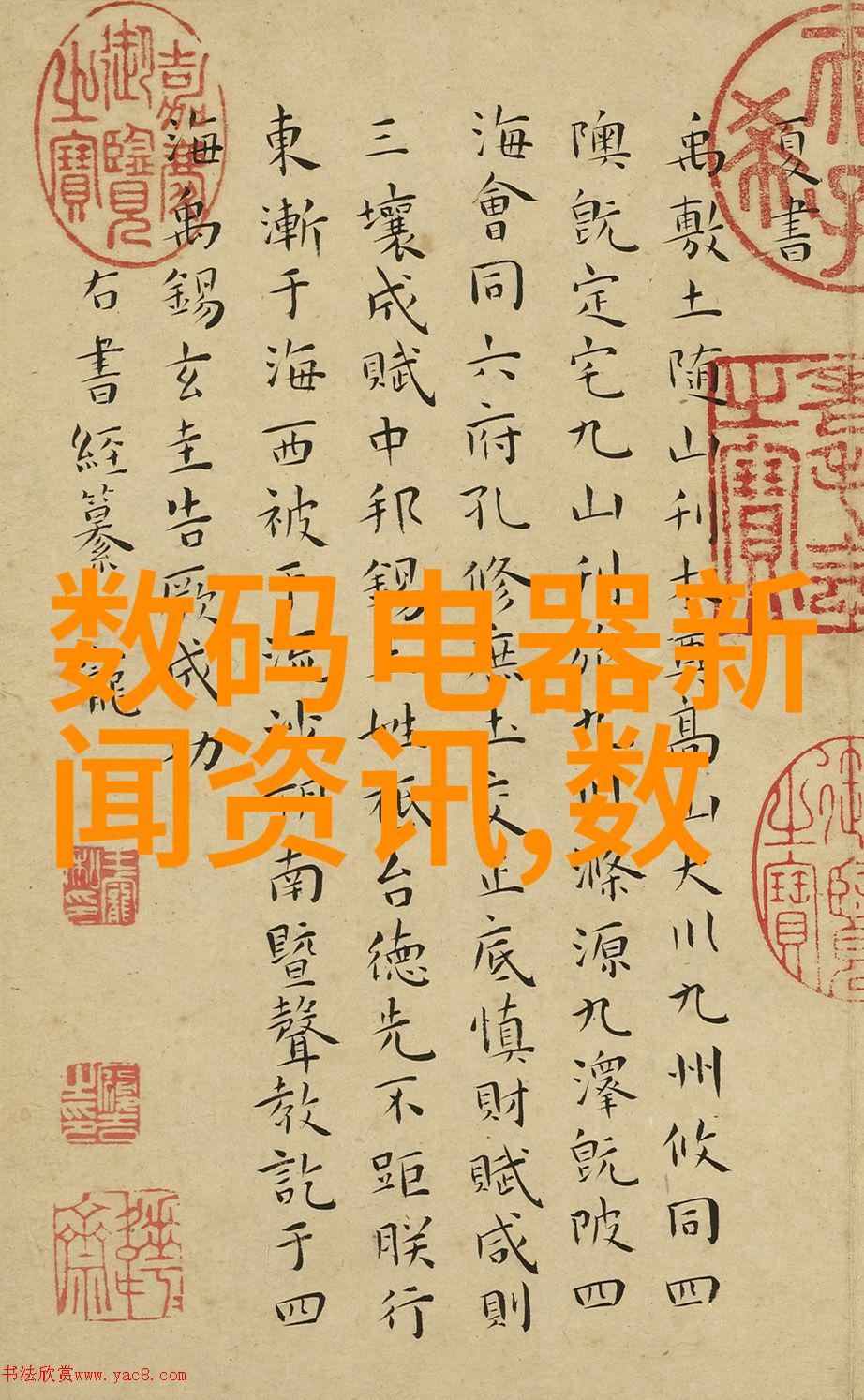 金属的守护者dn50鲍尔环的故事