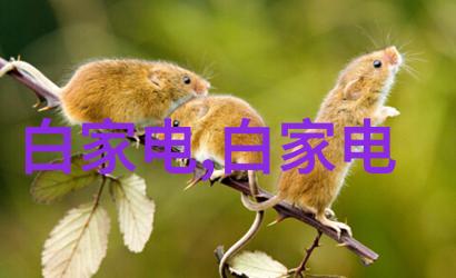 探究Aspen软件中的固定床反应器模拟技术了解其应用与优化方法