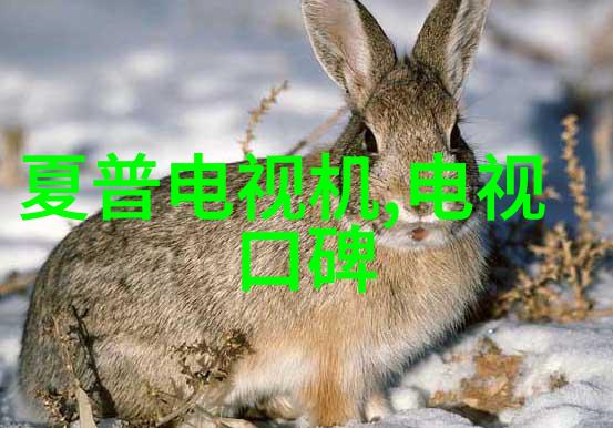 不锈钢波纹填料耐腐蚀的选择多种用途的解决方案