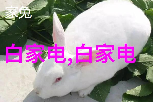 反应釜的安全机制探究其是否为快开门式压力容器