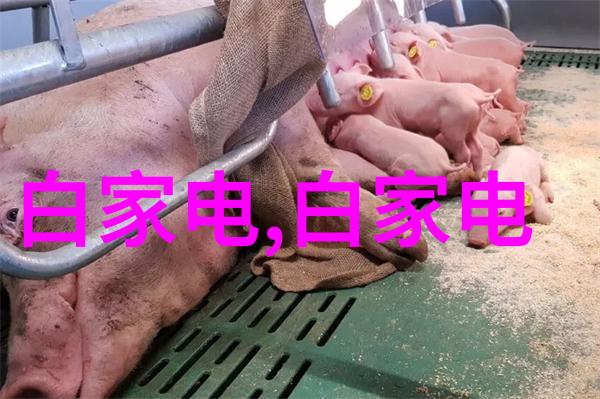 高压蒸汽灭菌锅的安装与维护技巧