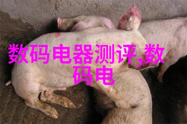 生活中人工智能产品有哪些我眼中的AI小助手生活中的那些不可多得的智能好帮手