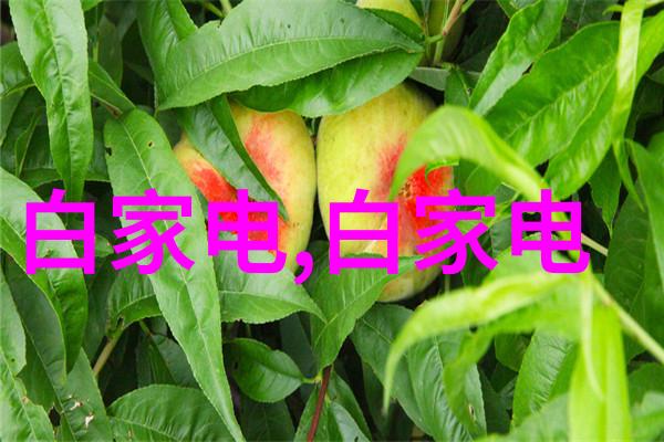 微波杀菌的原理电磁波与分子动力之舞