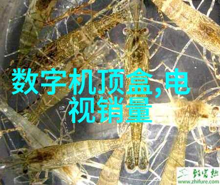 企业在选购純水設備時應該考慮哪些关键因素來提高效率與降低成本