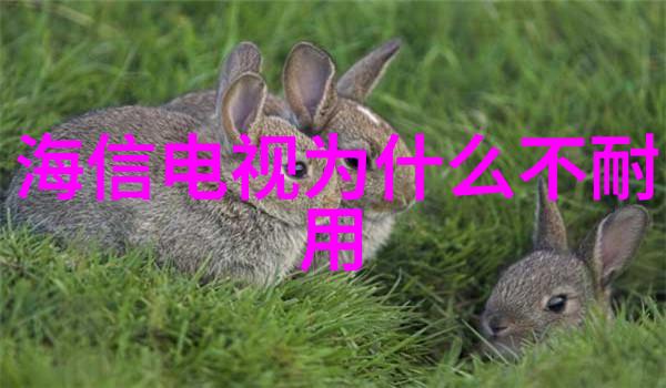 忙碌一天蒸饭柜不工作找本地维修服务热线