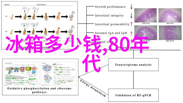 建筑工地水电工程包工包料价格详解