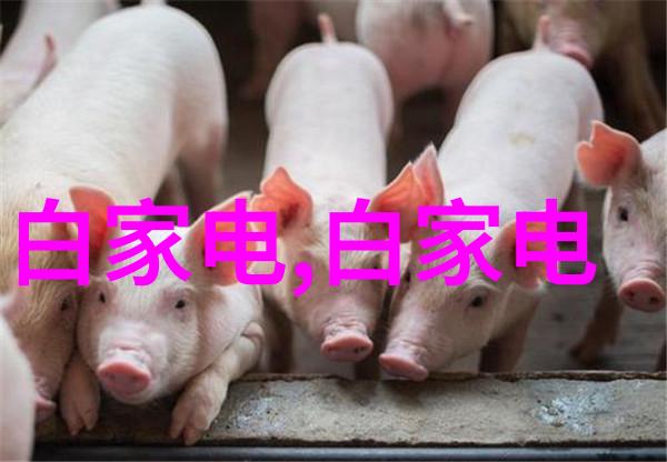 叶教授的小黏糖全文免费阅读我是如何在网上找到了叶教授的秘密甜品宝藏的