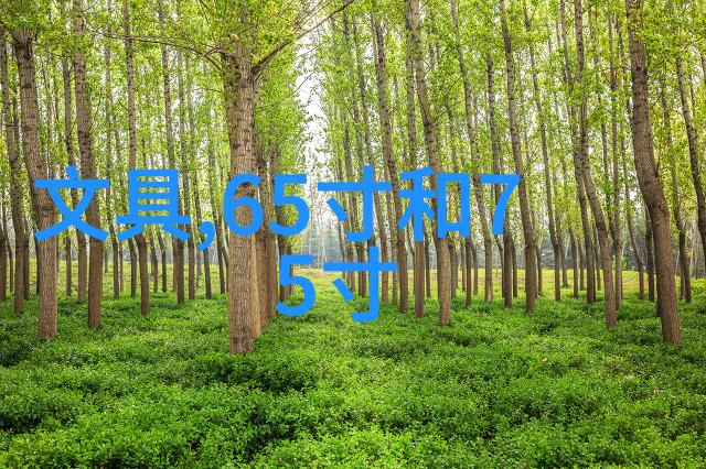 智能化改造未来实验室离心机可能带来的变化