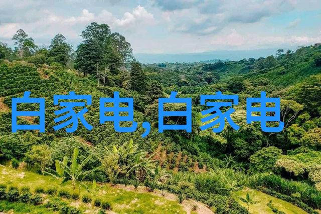探究Abs波纹斜板填料在建筑材料领域中的应用前景与创新发展
